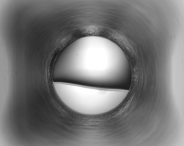 X0000098170597200804241011