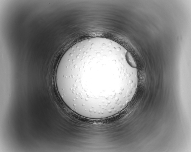 X0000098170598200804241011