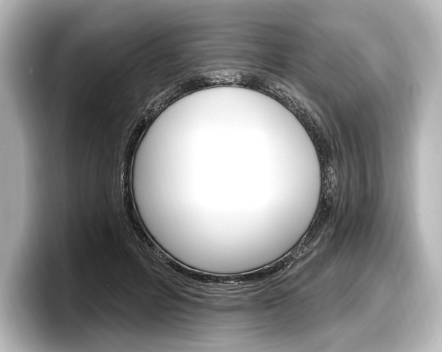 X0000098170600200804241011