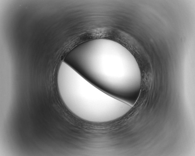 X0000098170601200804241011
