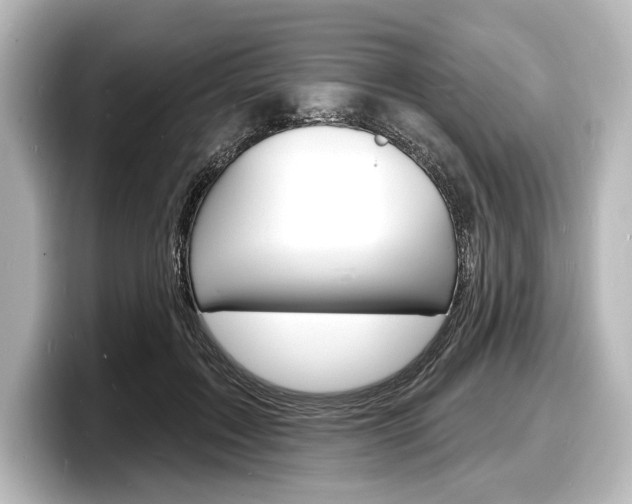 X0000098170603200804241011
