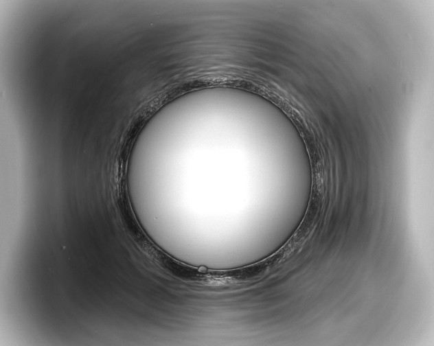 X0000098170605200804241011