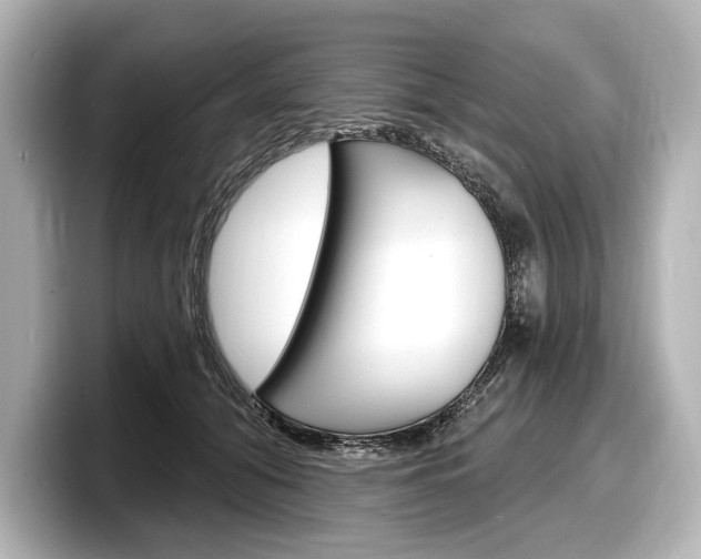 X0000098170608200804241011