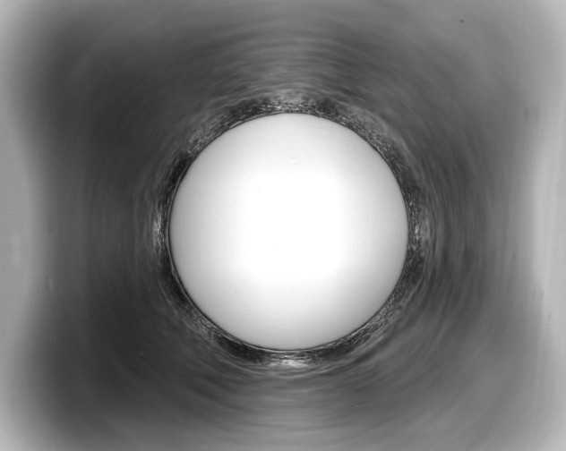 X0000098170610200804241011