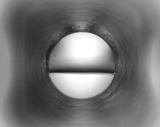 X0000098170612200804241011