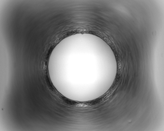 X0000098170614200804241011