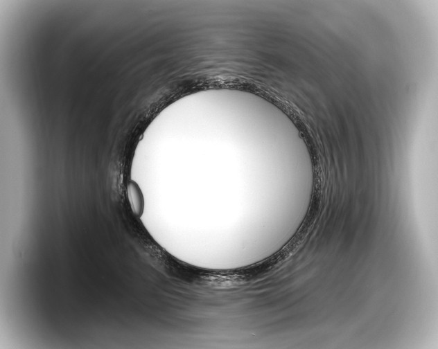 X0000098170615200804241011