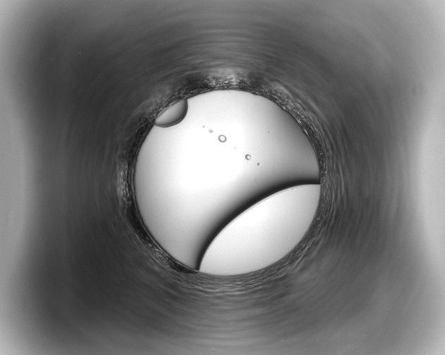 X0000098170616200804241011