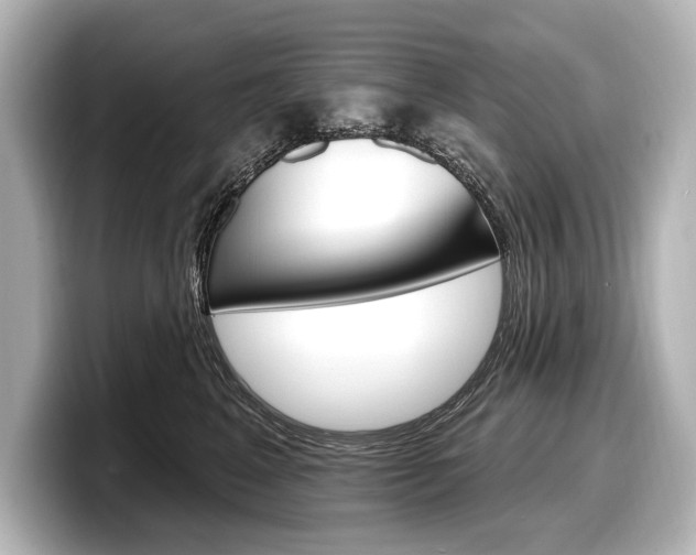 X0000098170617200804241011
