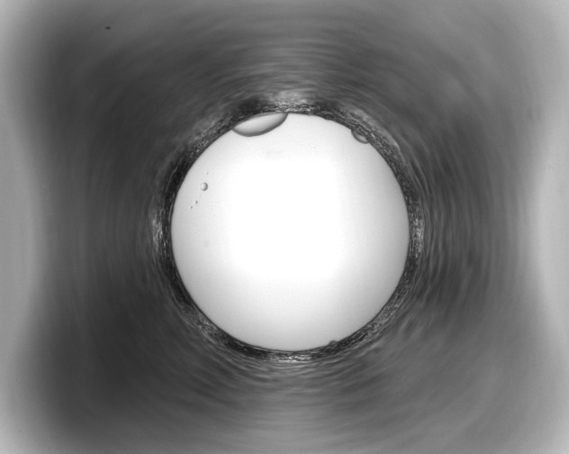 X0000098170618200804241011
