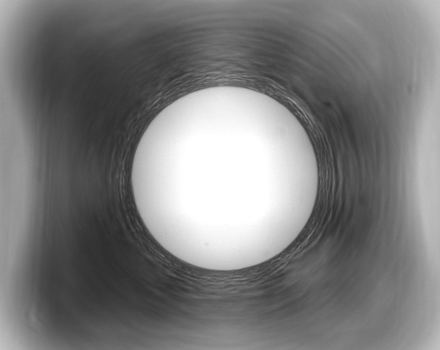 X0000098170621200804241011