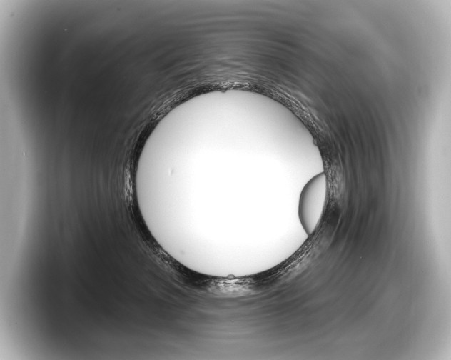 X0000098170622200804241011