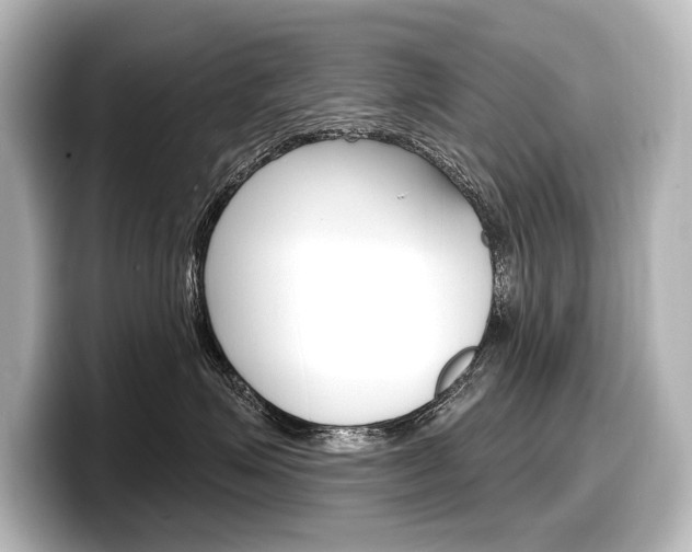 X0000098170623200804241011