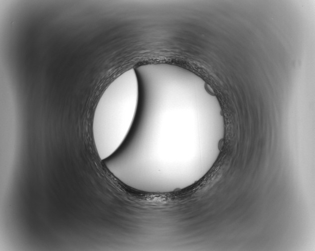 X0000098170624200804241011