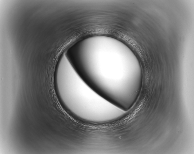 X0000098170625200804241010