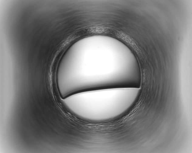 X0000098170626200804241010