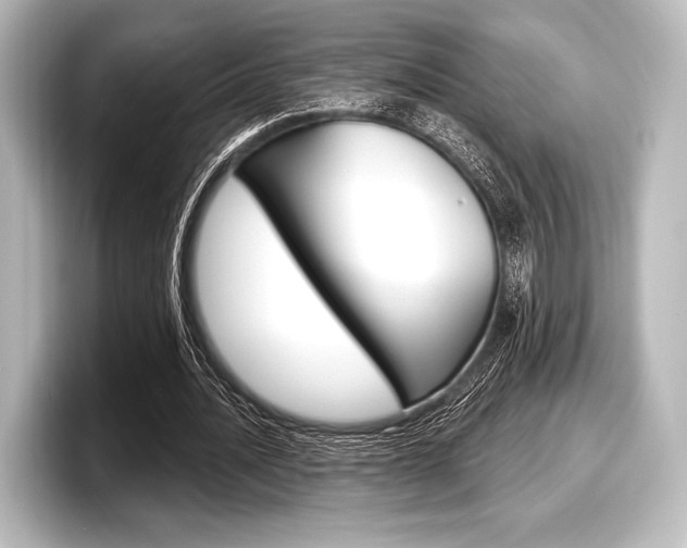 X0000098170628200804241010