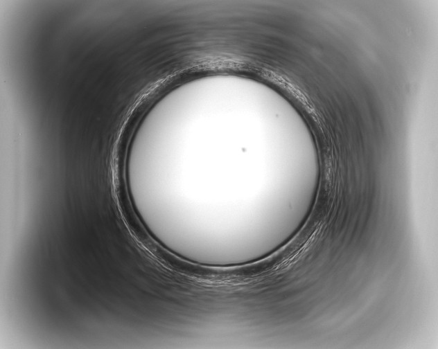 X0000098170629200804241010