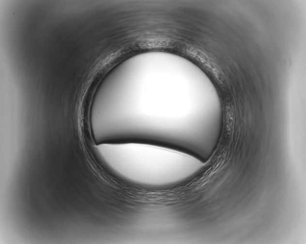 X0000098170631200804241010