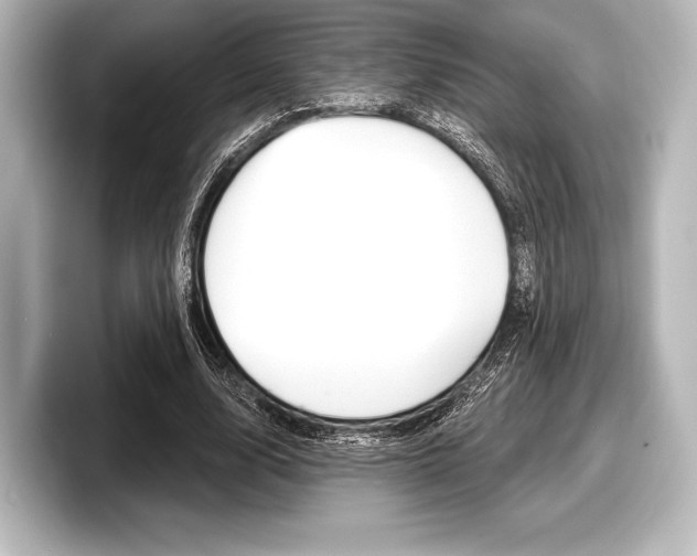 X0000098170632200804241010