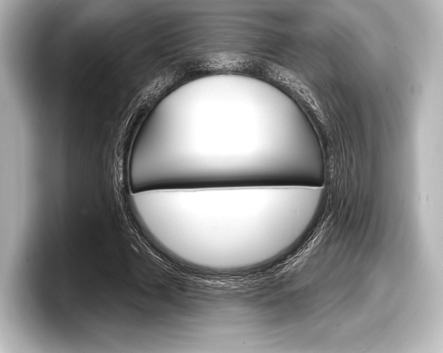 X0000098170633200804241010