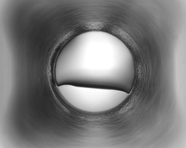 X0000098170634200804241010
