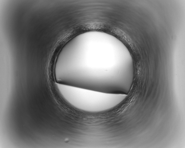 X0000098170635200804241010