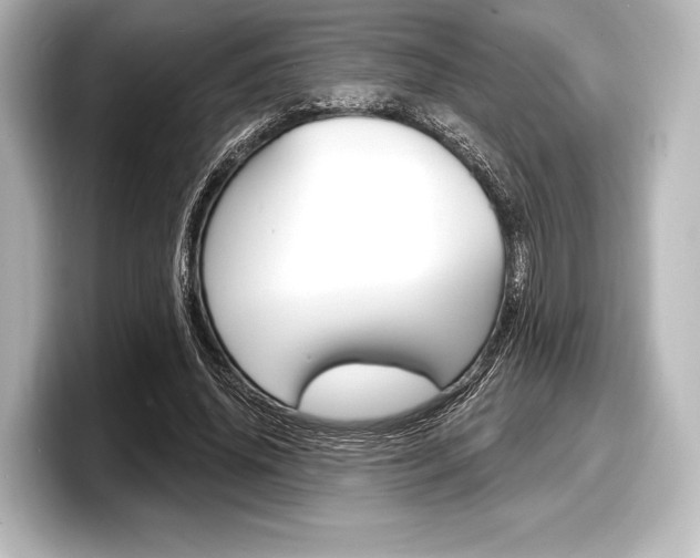 X0000098170636200804241010
