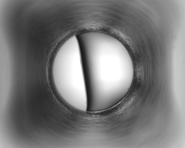 X0000098170637200804241010