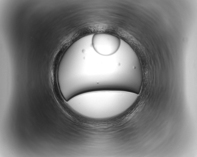 X0000098170638200804241010