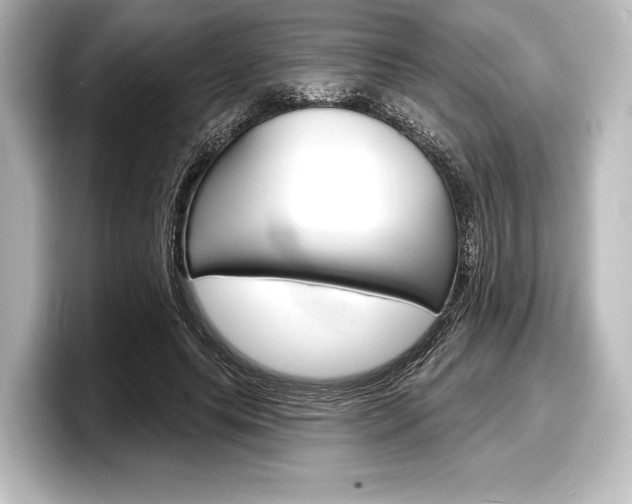 X0000098170639200804241010