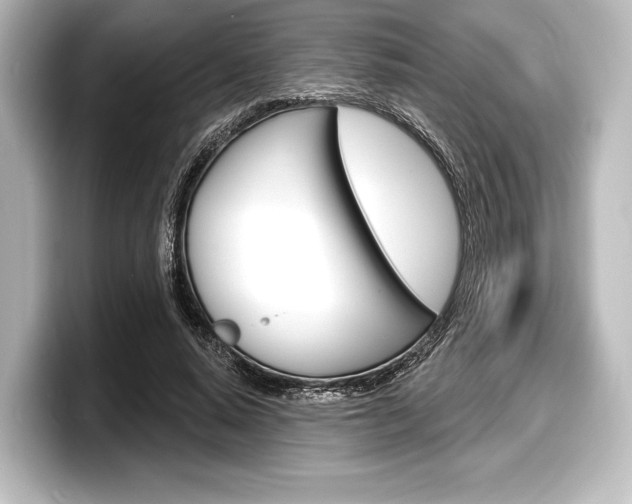 X0000098170640200804241010