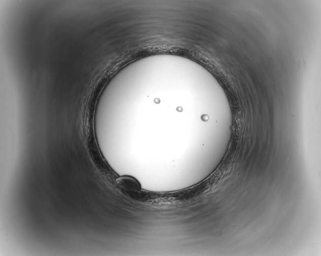 X0000098170642200804241010
