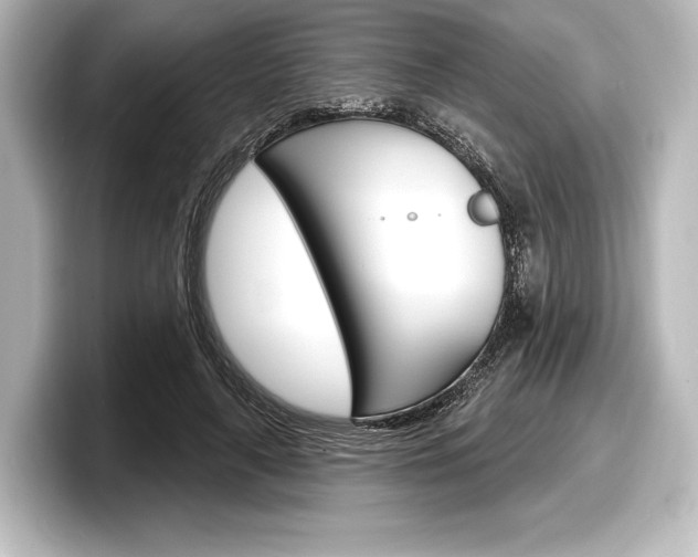 X0000098170643200804241010