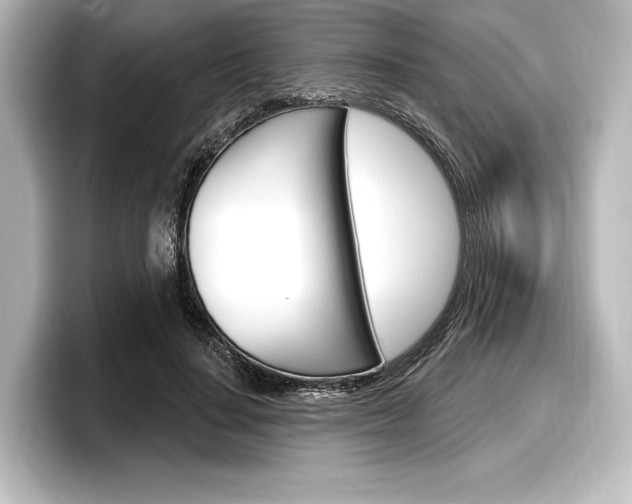 X0000098170644200804241010