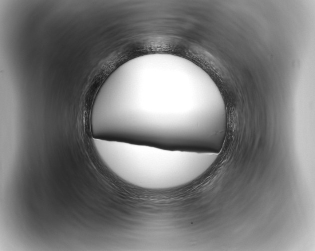 X0000098170645200804241010