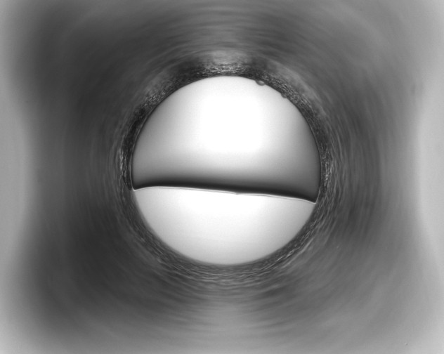X0000098170647200804241010