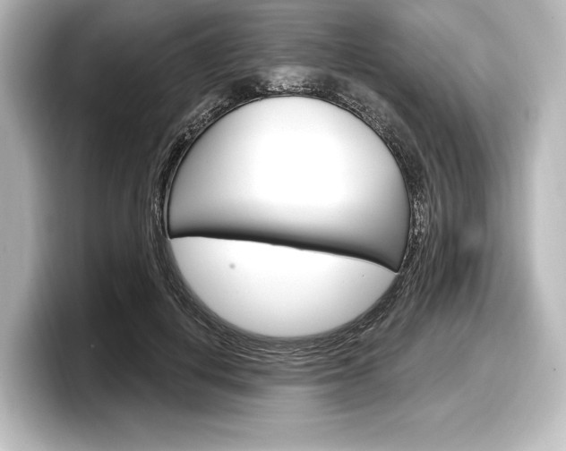 X0000098170648200804241010