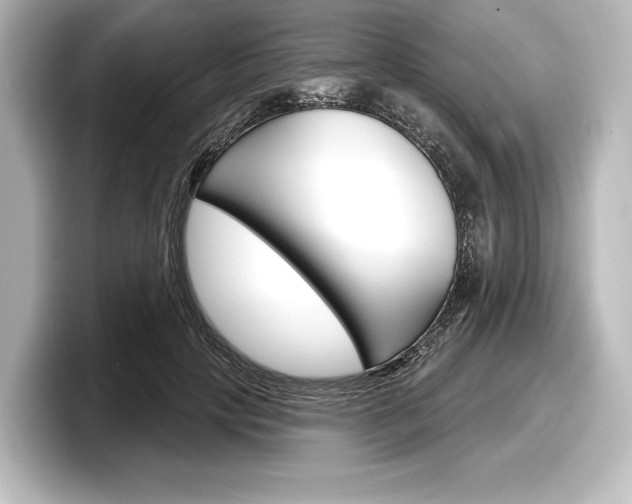 X0000098170649200804241010