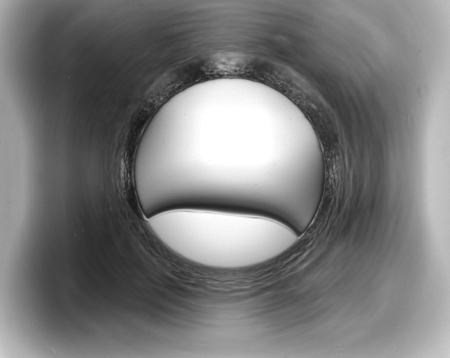 X0000098170651200804241010