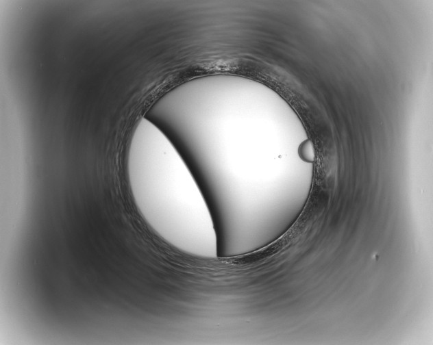 X0000098170652200804241010