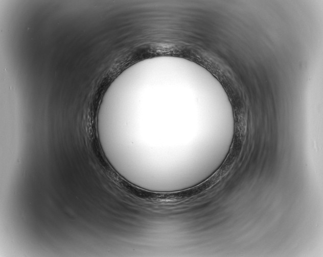 X0000098170653200804241010