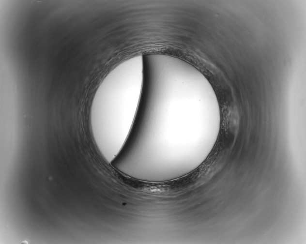 X0000098170655200804241011