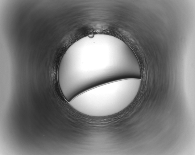 X0000098170657200804241011