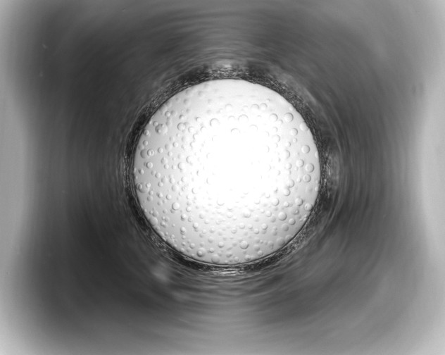 X0000098170659200804241011
