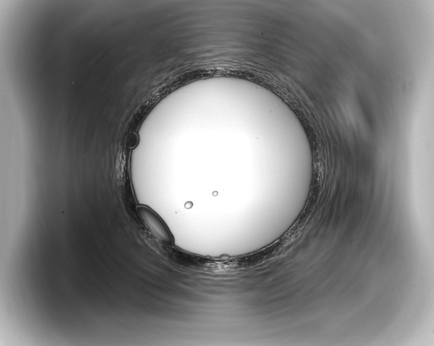 X0000098170660200804241011