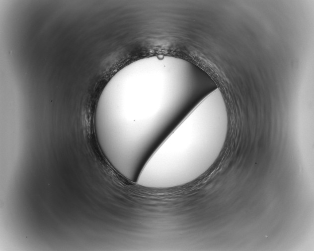 X0000098170661200804241011