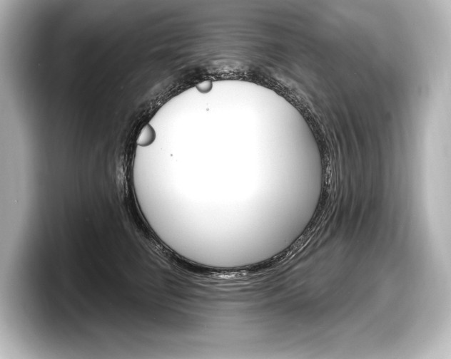 X0000098170662200804241011