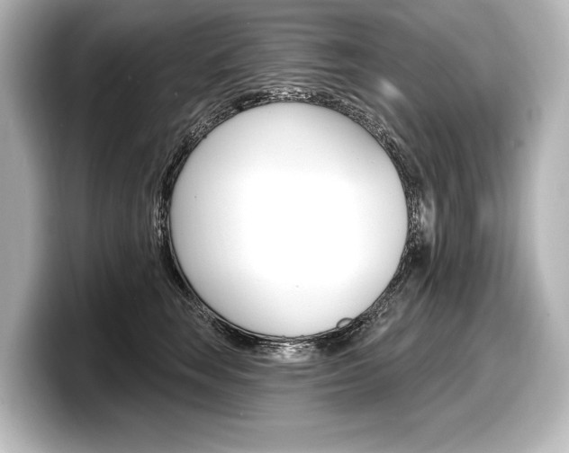 X0000098170663200804241011