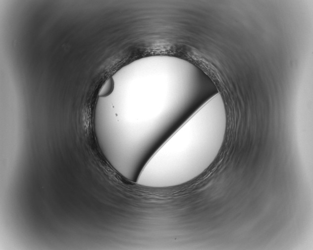 X0000098170665200804241011